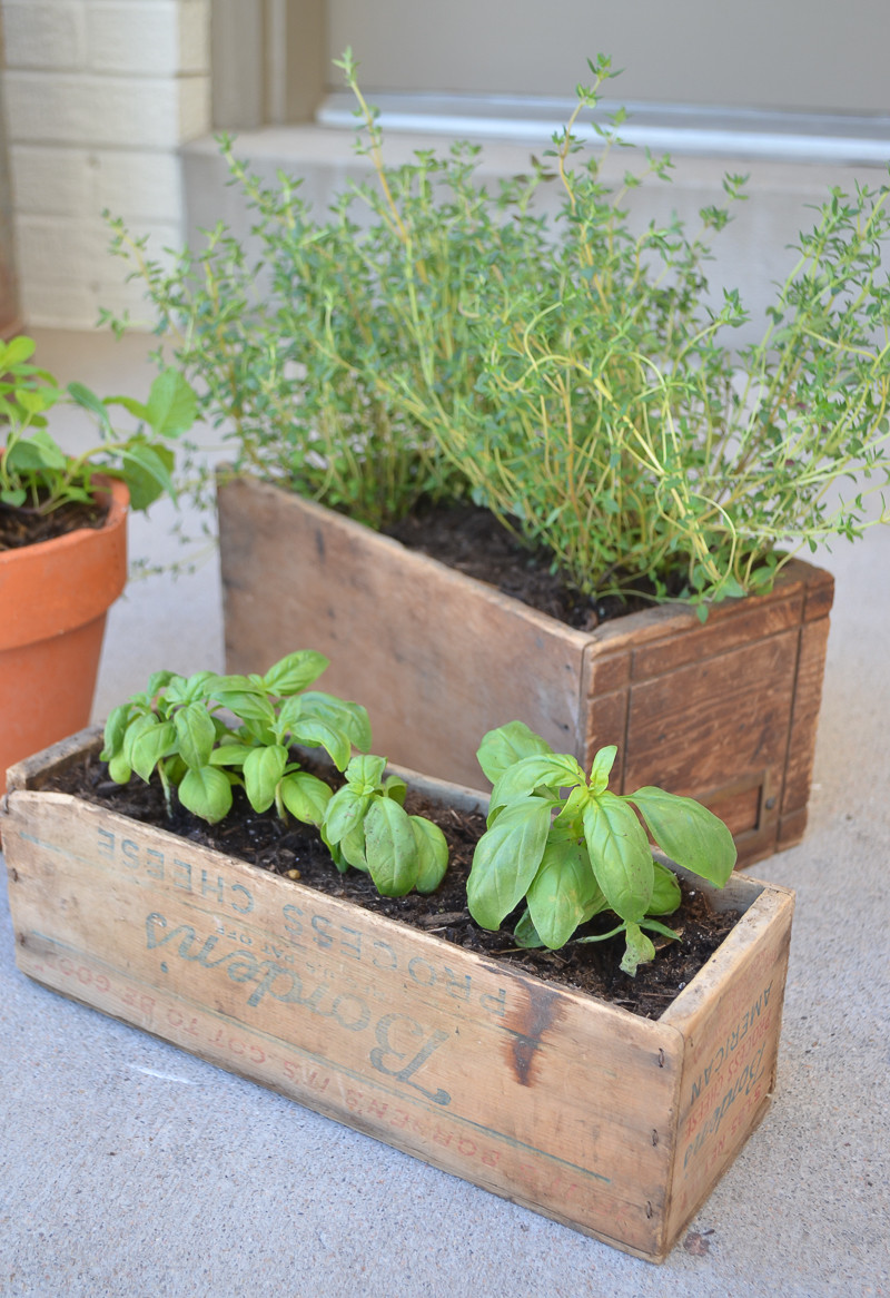 DIY Herb Garden Box
 DIY Herb Garden with Vintage Boxes