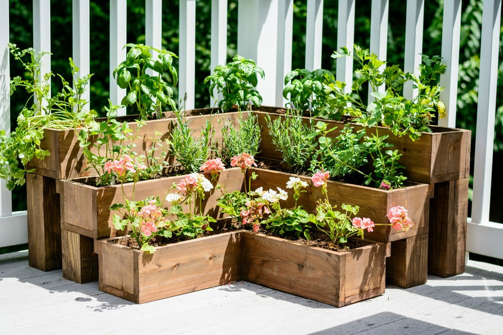 DIY Herb Garden Box
 12 Medicinal Herbs You Can Grow In Your Own Garden