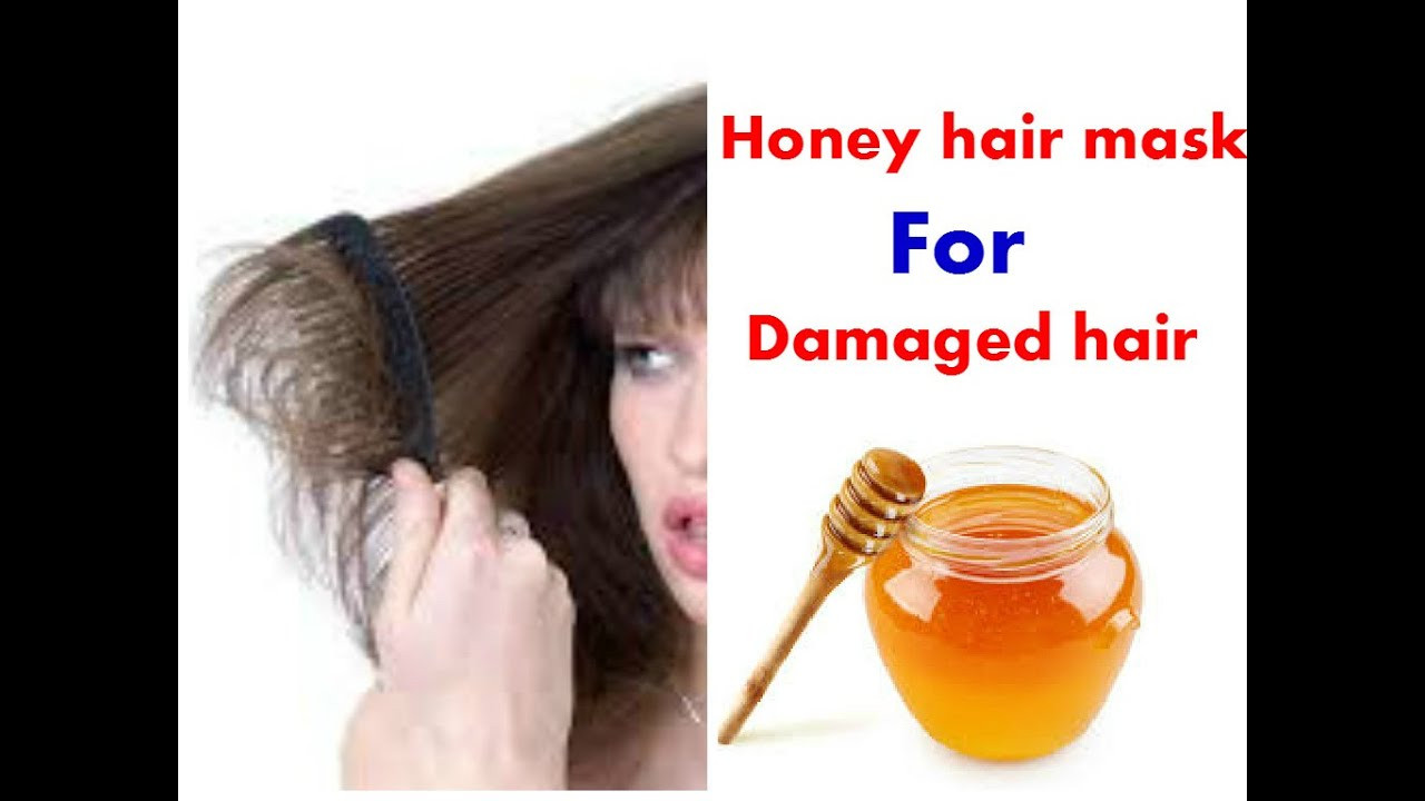 DIY Honey Hair Mask
 DIY Homemade Honey hair mask for Damaged hair