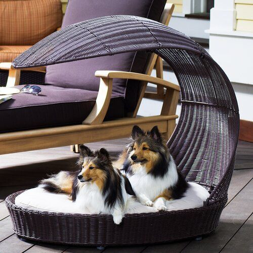 DIY Hooded Dog Bed
 Archie & Oscar Clara Outdoor Hooded Dog Hooded & Reviews