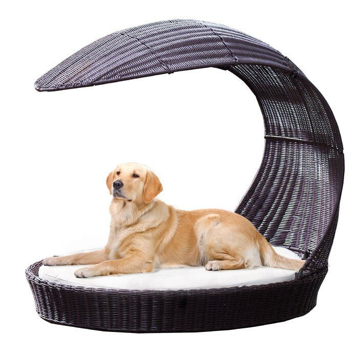 DIY Hooded Dog Bed
 Archie & Oscar Clara Outdoor Hooded Dog Bed & Reviews