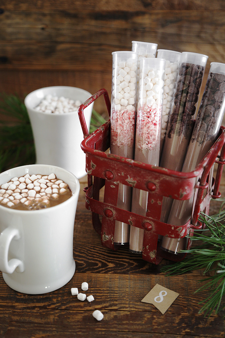DIY Hot Chocolate Gifts
 Gift This DIY Instant Hot Cocoa Mix