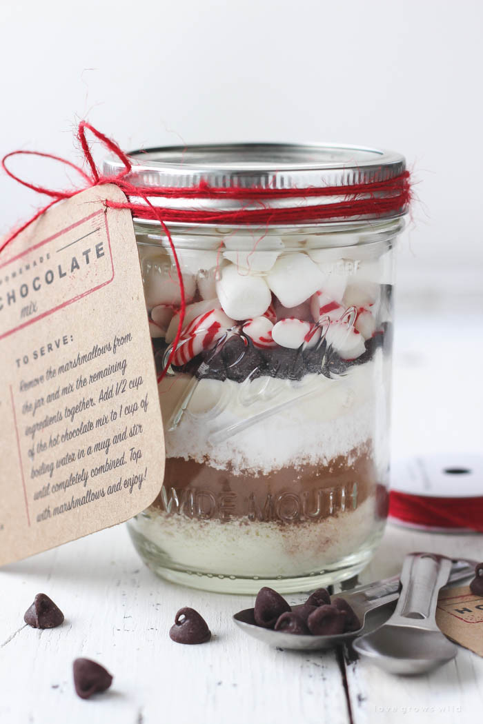 DIY Hot Chocolate Gifts
 Homemade Hot Chocolate Mix Love Grows Wild