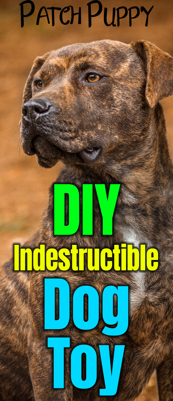 DIY Indestructible Dog Toy
 Sweet Potato Dog Treats on a Rope DIY Indestructible Dog