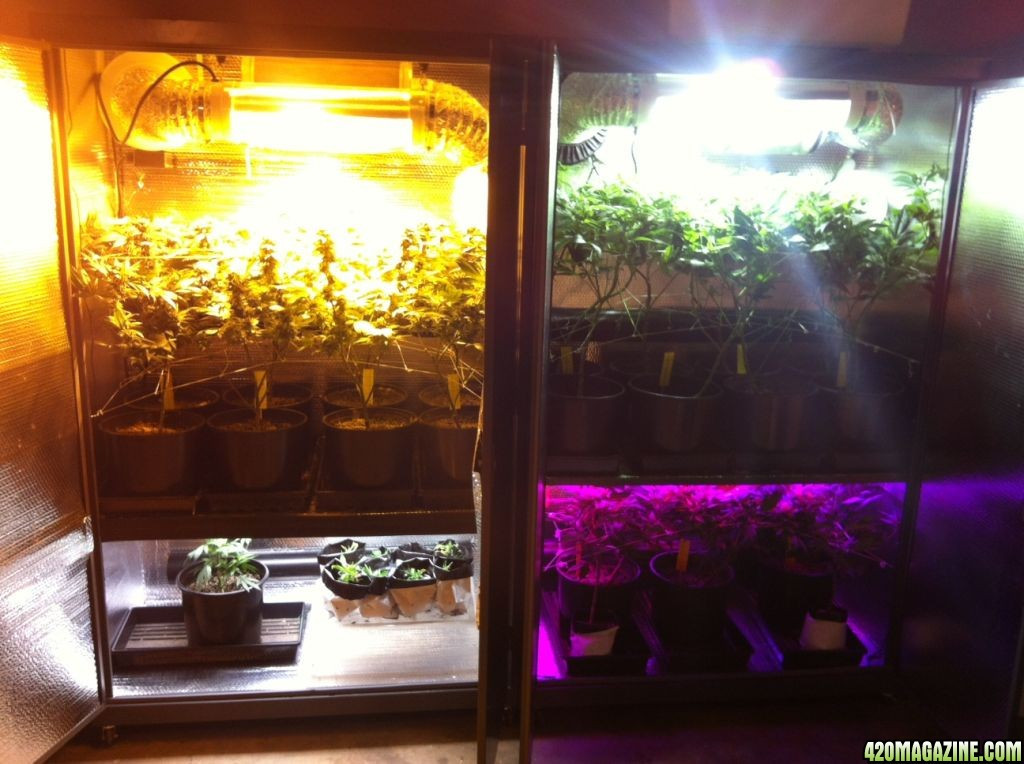 DIY Indoor Grow Box
 Best indoor grow box