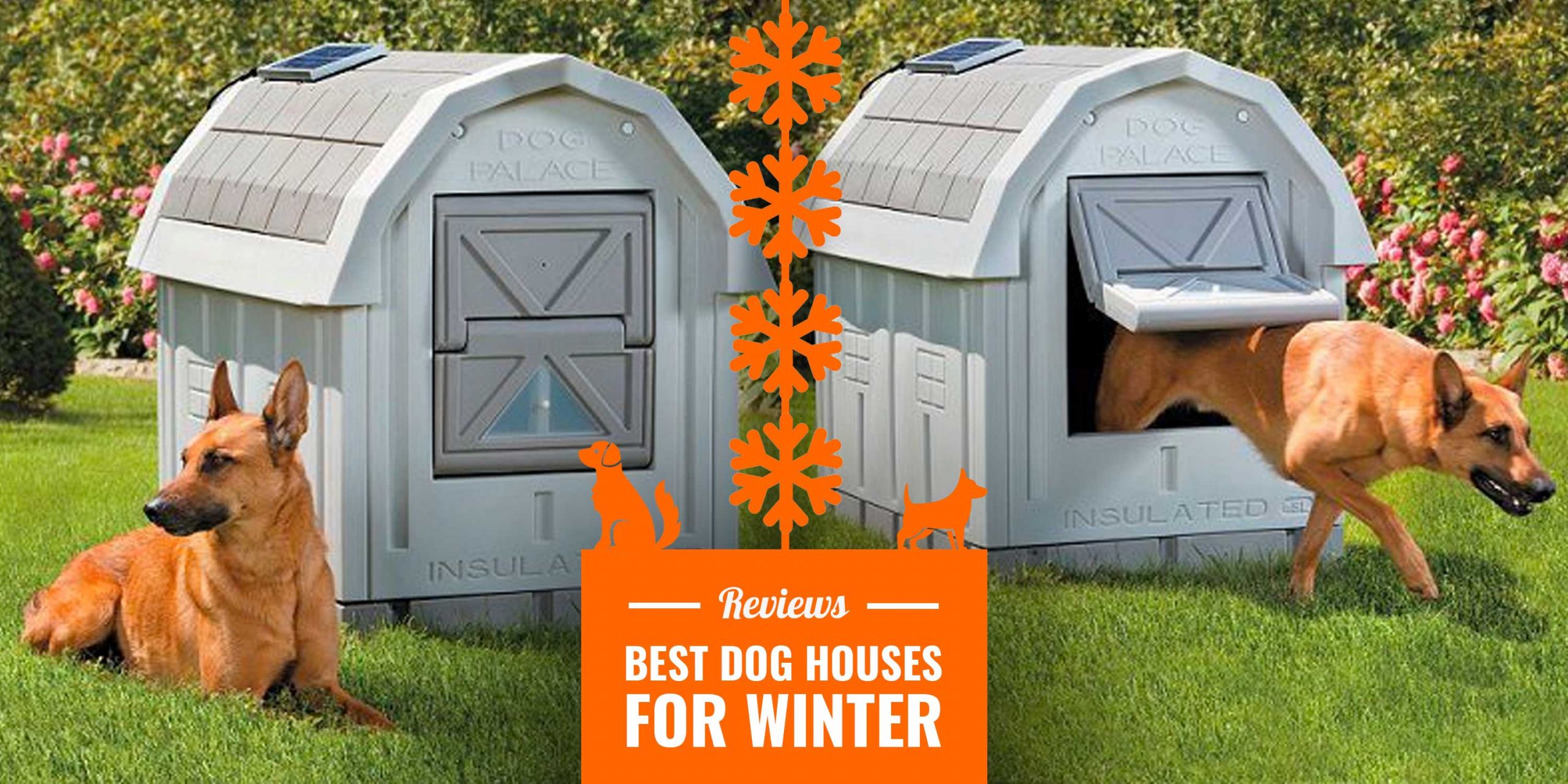 DIY Insulated Dog House
 10 Best Dog Houses for Winter — Reviews Insulation Tips