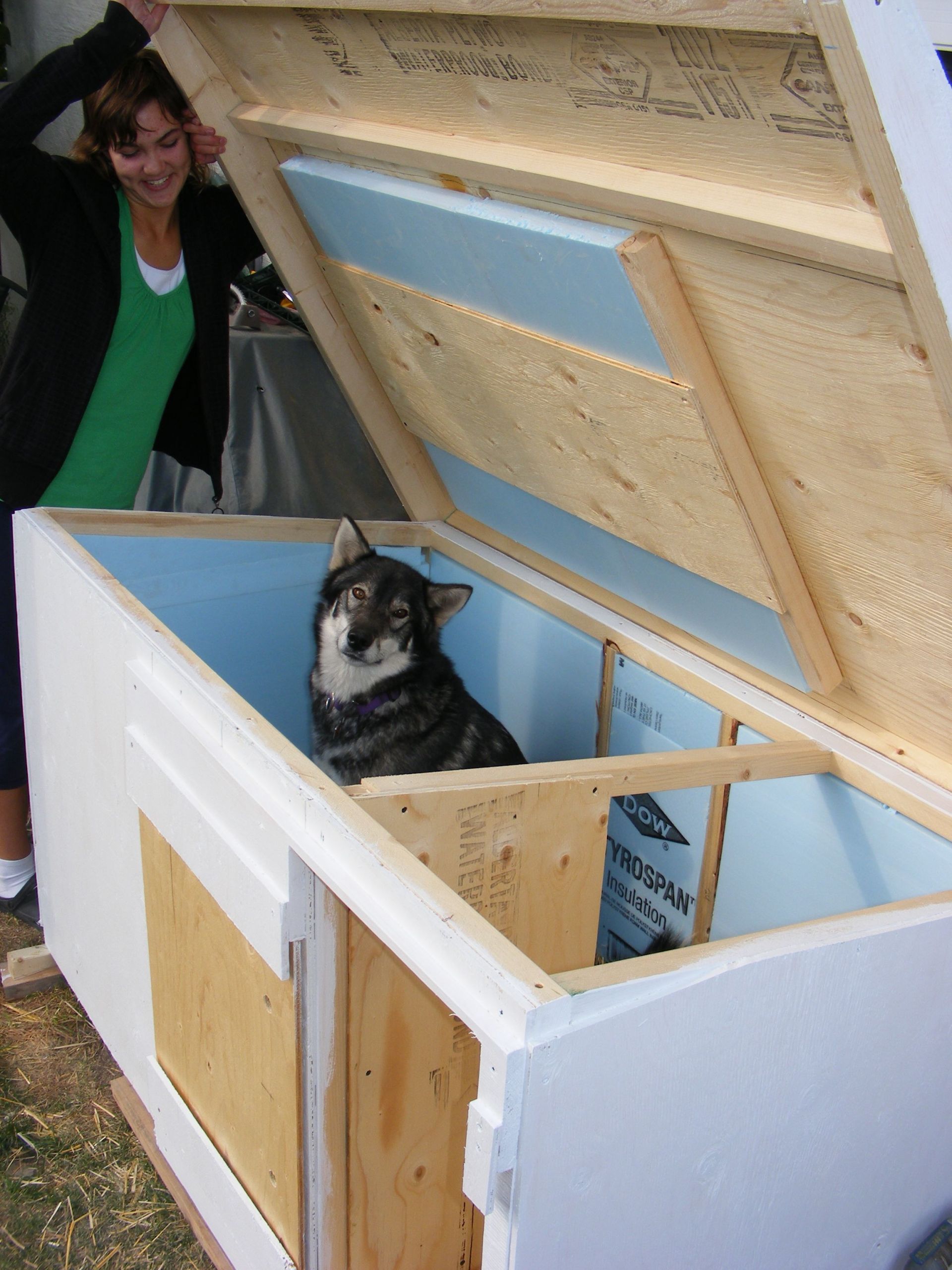 DIY Insulated Dog House
 For Sale