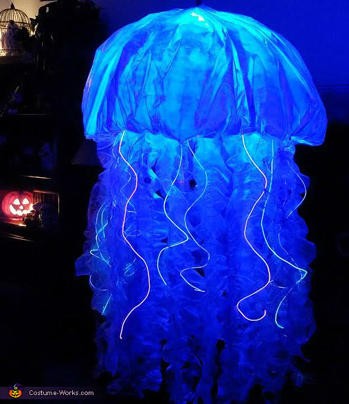 DIY Jellyfish Costume
 Jellyfish Costume DIY