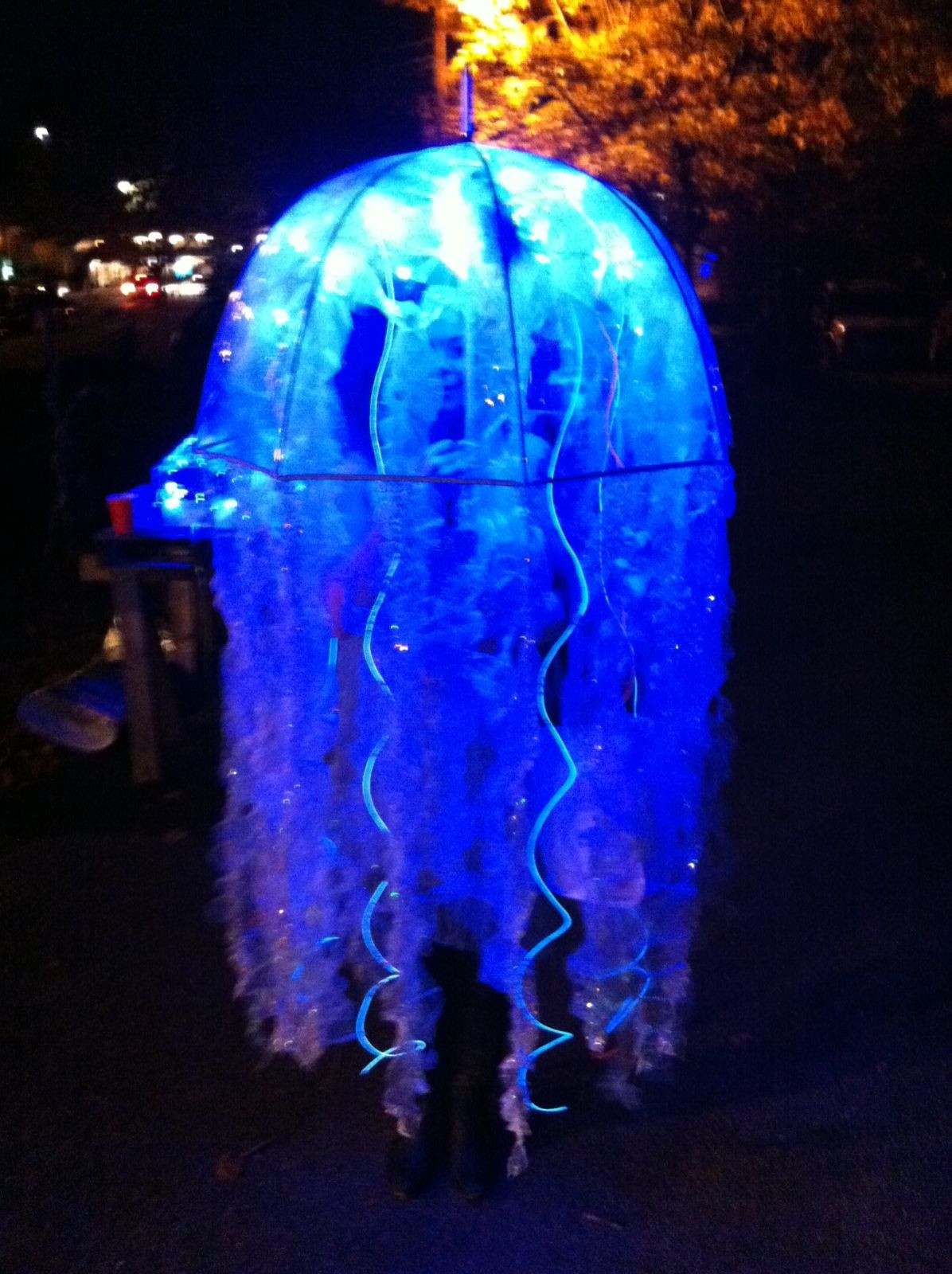 DIY Jellyfish Costumes
 My Jellyfish Costume