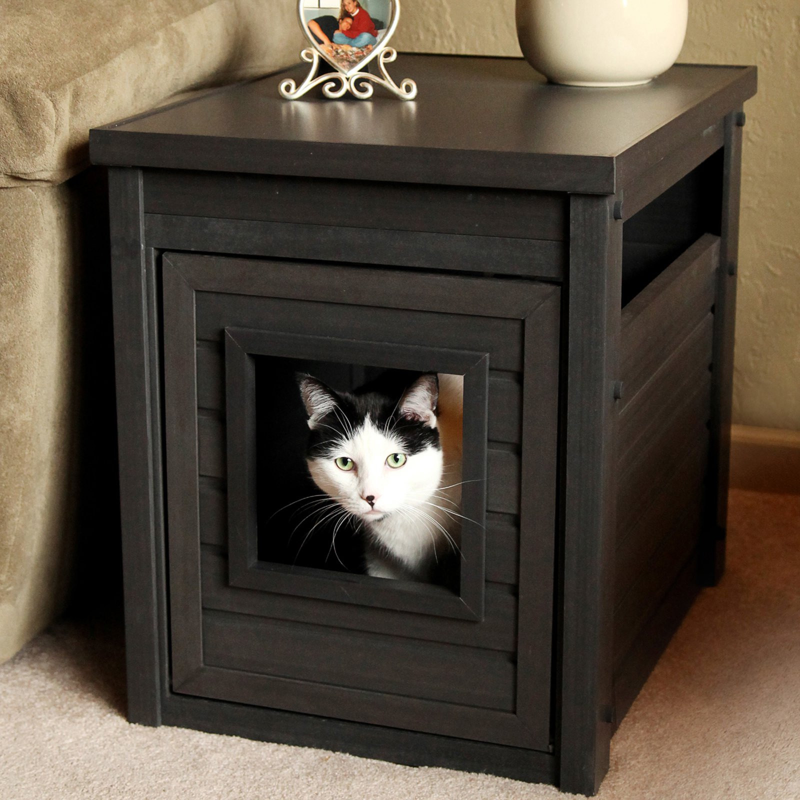 DIY Kitty Litter
 An Easy DIY Cat Litter Box Ideas – HomesFeed