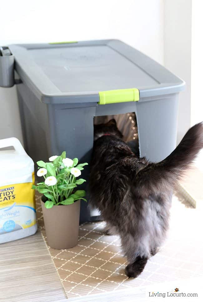 DIY Kitty Litter
 Hidden Kitty Litter Box Ideas DIY Cat Litter Holder