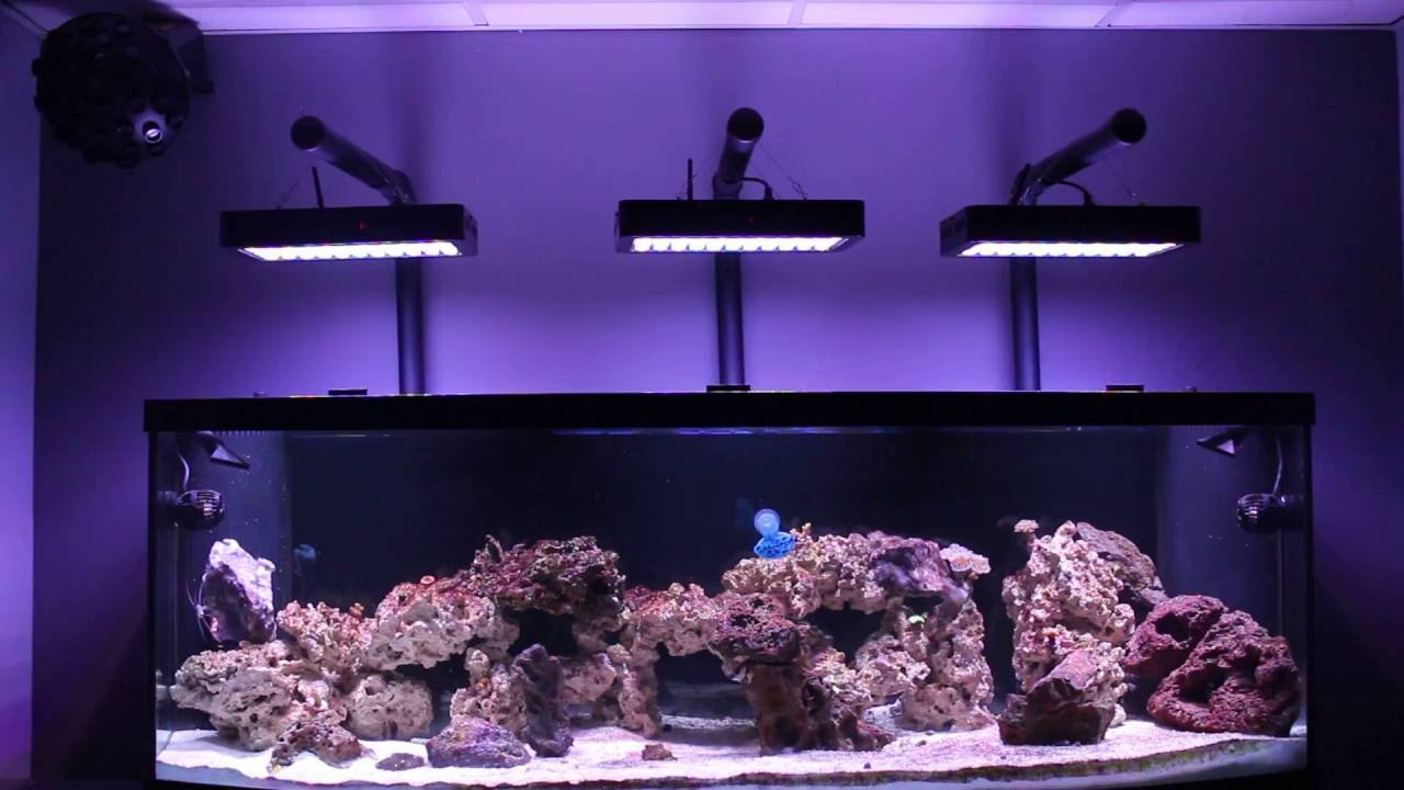 DIY Led Aquarium Light Kit
 MAN CAVE REEF LED EVERGROW aquarium light DIY mounting kit