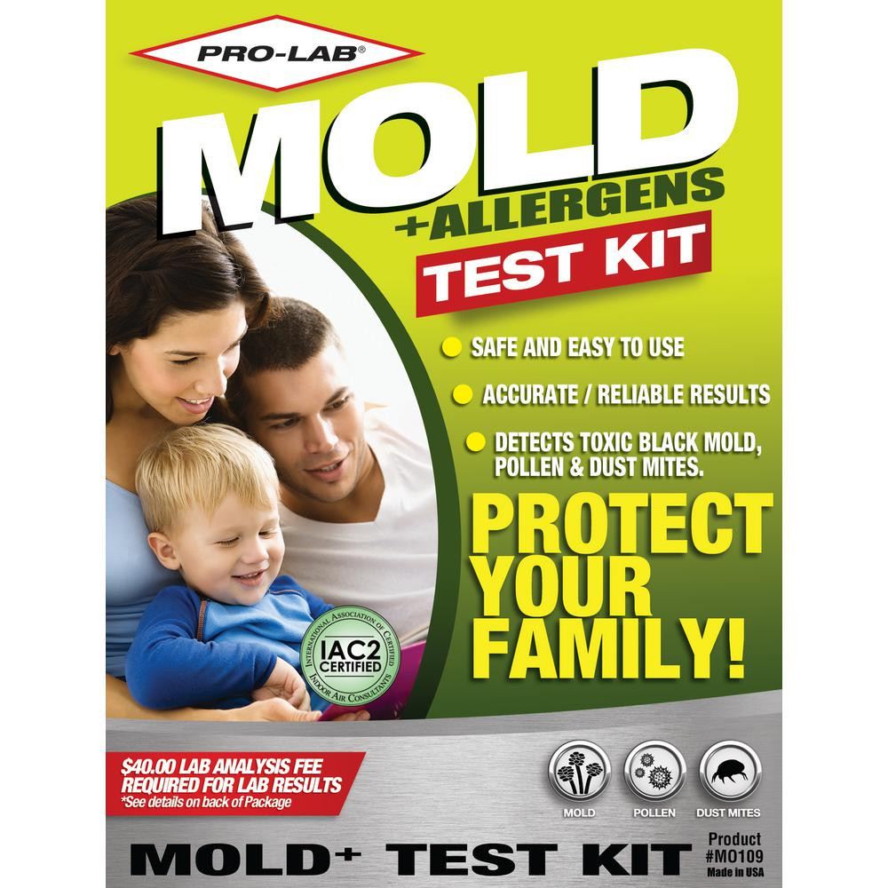 DIY Mold Test Kit
 23 Best Ideas Diy Mold Test Kit – Home Family Style and