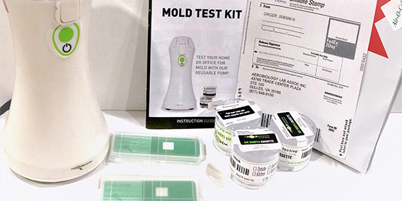 DIY Mold Test Kit
 The Best DIY Mold Test Kits 2019 Lab Results Are They