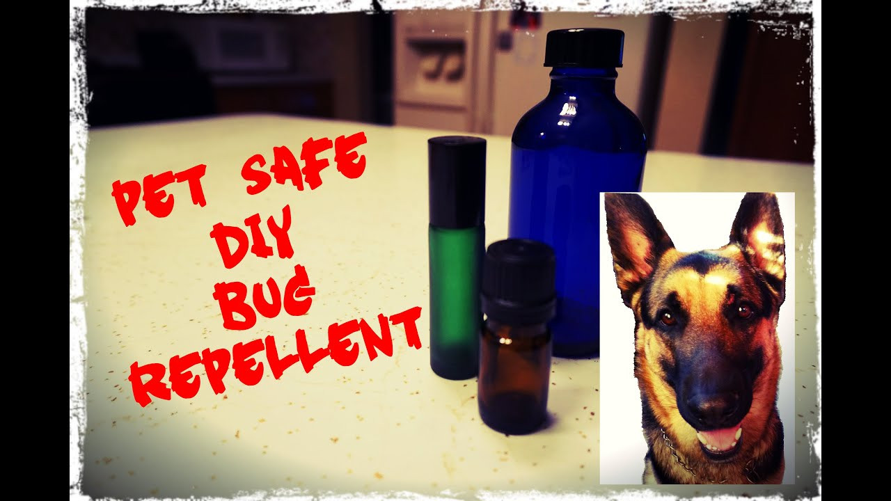 DIY Mosquito Repellent For Dogs
 Homemade Flea And Mosquito Repellent For Dogs Homemade