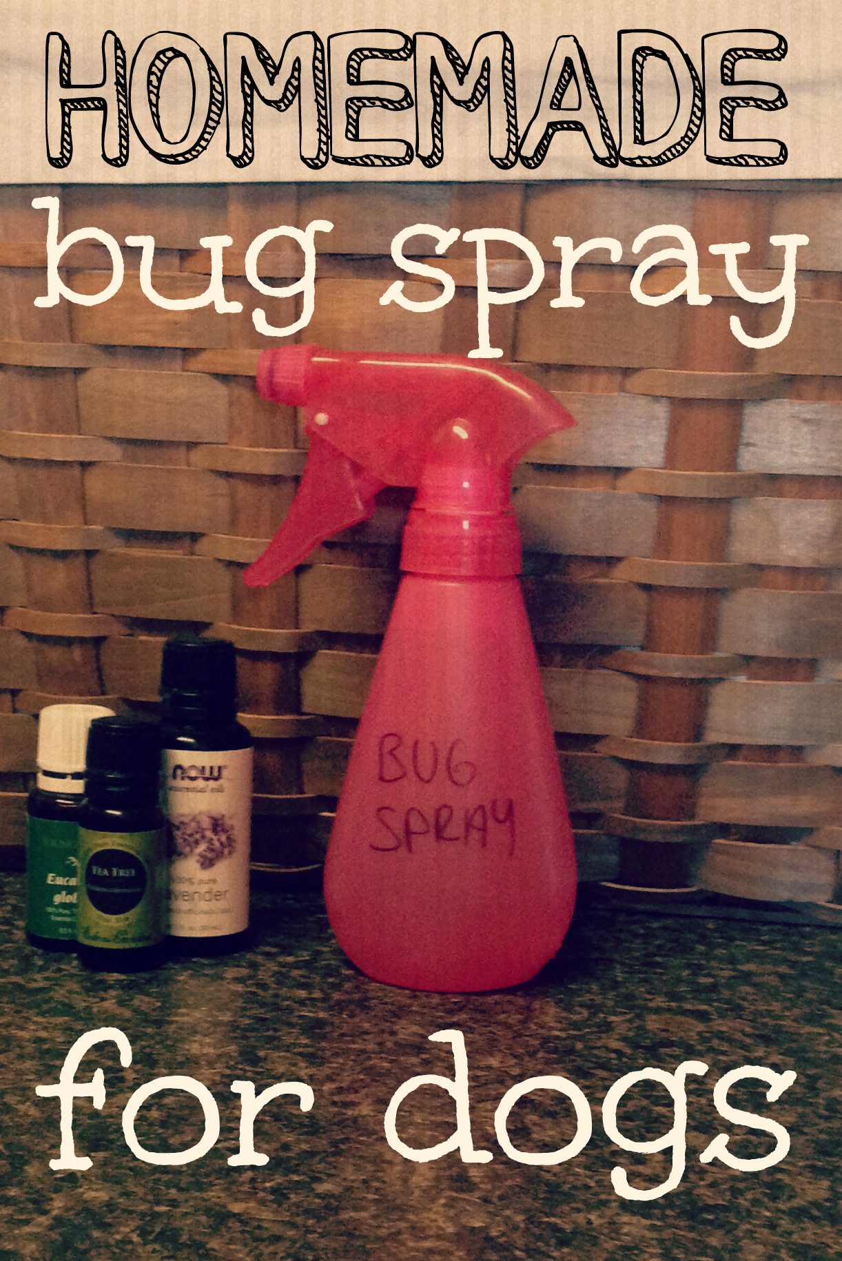 DIY Mosquito Repellent For Dogs
 Homemade Bug Spray for Dogs