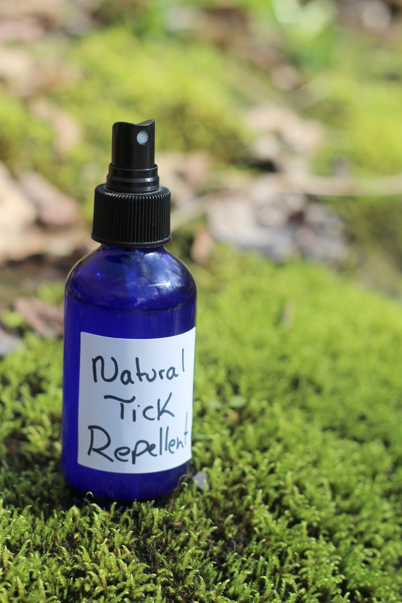 DIY Mosquito Repellent For Dogs
 7 Effective Natural Tick Repellents You Can Make at Home