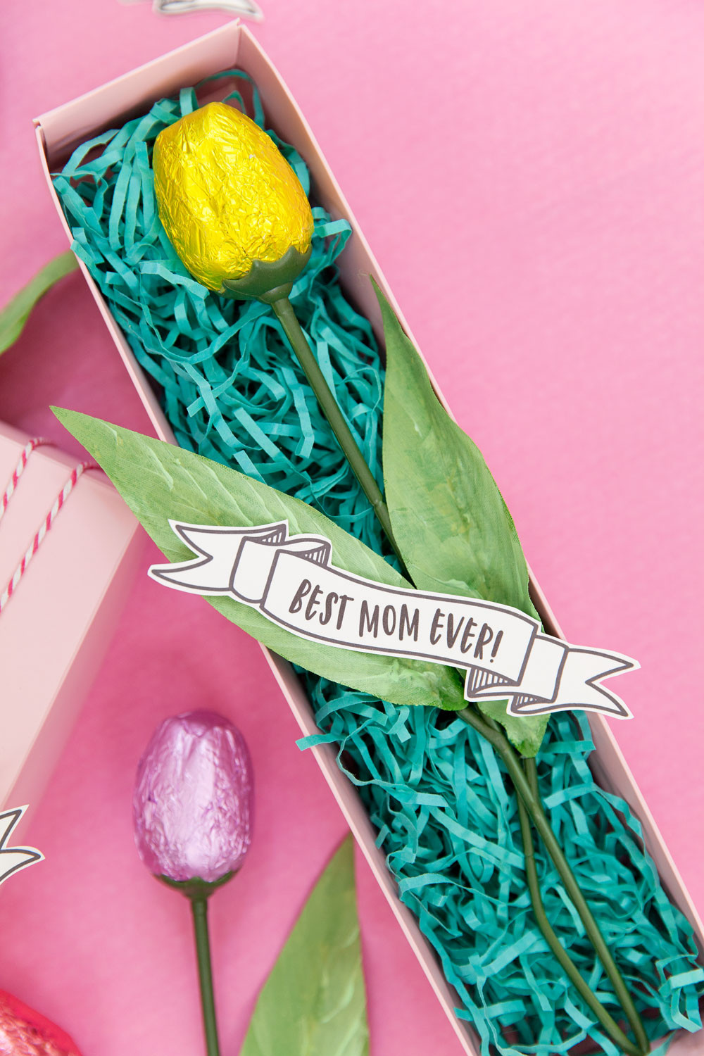 DIY Mother'S Day Gift Ideas
 FREE PRINTABLE MOTHER S DAY BANNERS Tell Love and Party