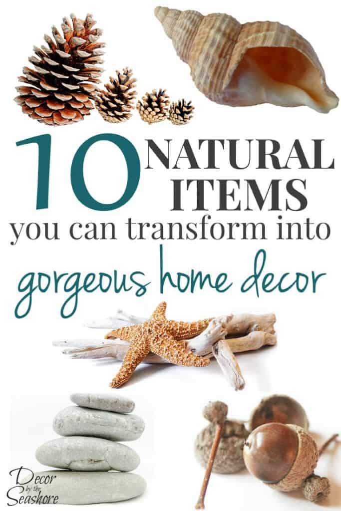 DIY Nature Decor
 10 Natural Items You Can Craft into Home Decor Decor by