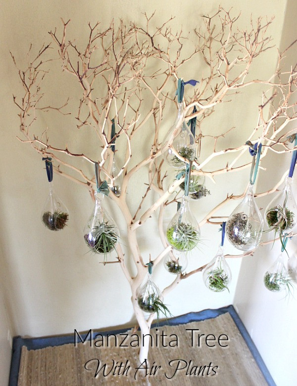 DIY Nature Decor
 Manzanita Tree