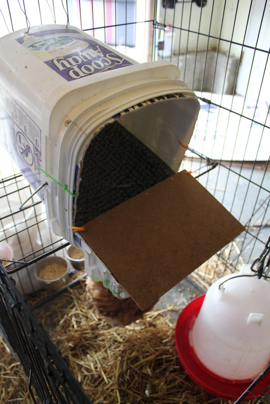 DIY Nesting Boxes For Chickens
 DIY roll away nest box My Pet Chicken Blog