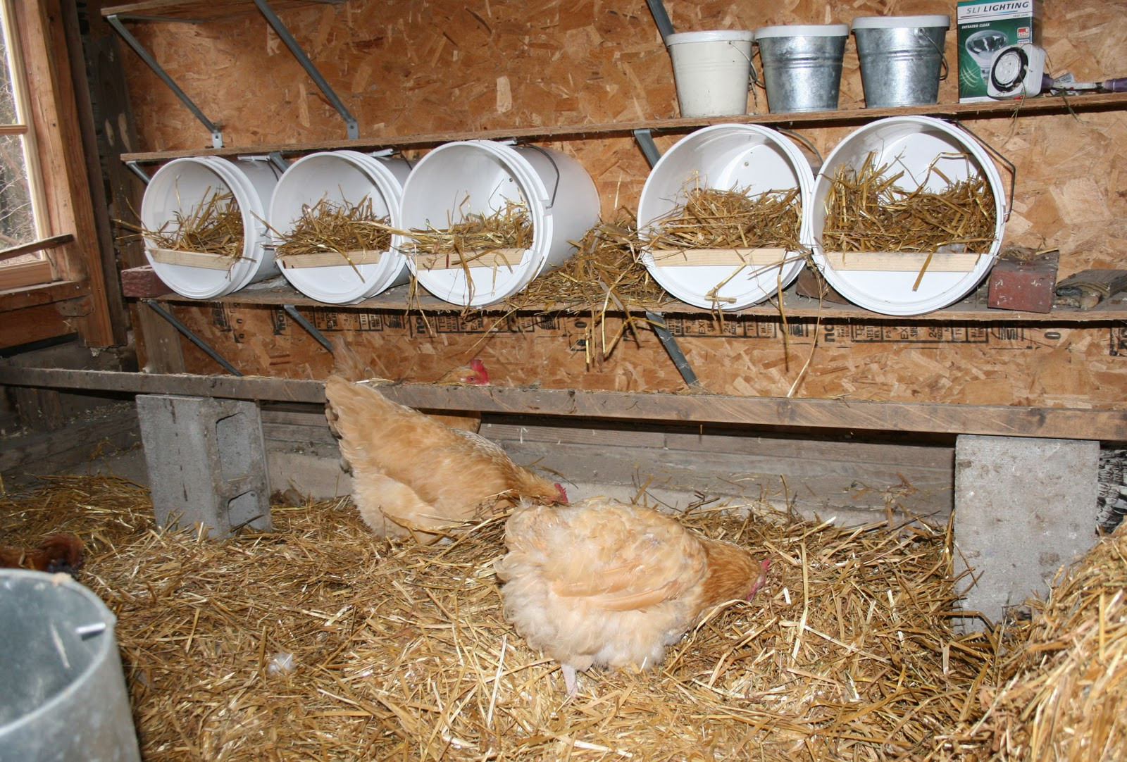 The Best Ideas for Diy Nesting Boxes for Chickens Home, Family, Style