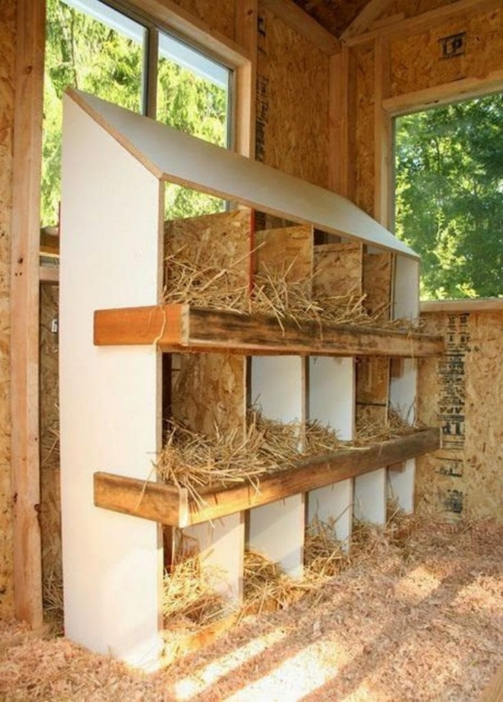 Diy wooden chicken nesting box