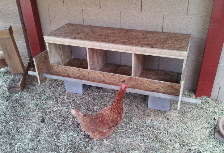 DIY Nesting Boxes
 How To Build a Chicken Nesting Box