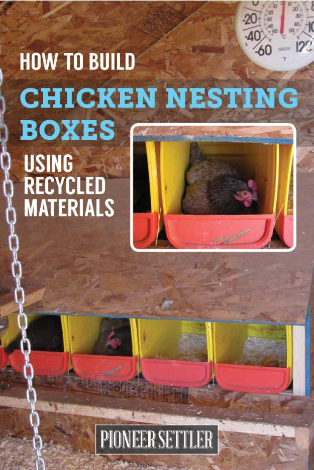 DIY Nesting Boxes
 How to Start Homesteading on a Bud