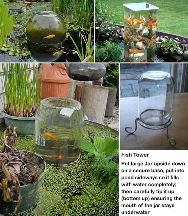 DIY Outdoor Aquarium
 22 Small Garden or Backyard Aquarium Ideas Will Blow Your