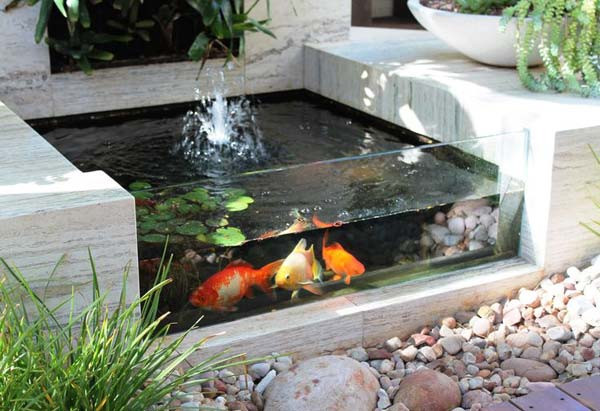 DIY Outdoor Aquarium
 22 Small Garden or Backyard Aquarium Ideas Will Blow Your