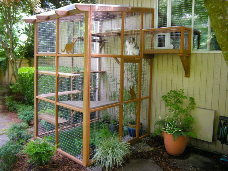 DIY Outdoor Cat House
 It’s Easy to Build a DIY Catio for Your Cat Catio Spaces