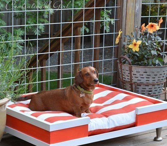 DIY Outdoor Dog Bed
 31 DIY Pet Beds for Your Furry Friends DIY