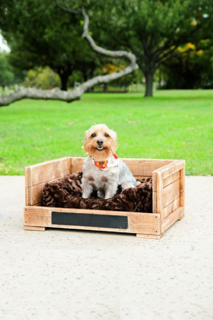 DIY Outdoor Dog Bed
 27 DIY Pet Bed Ideas For Your Inspiration InteriorSherpa