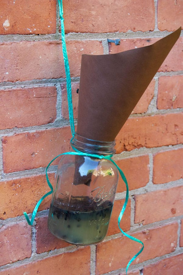 DIY Outdoor Fly Trap
 DIY Homemade Fly Trap The Art of Doing Stuff