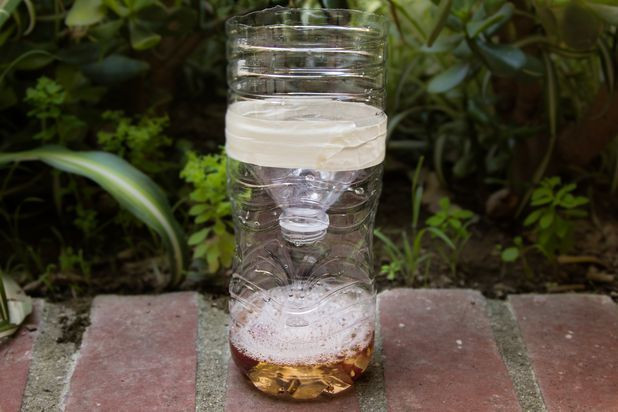 DIY Outdoor Fly Trap
 Homemade Fly Traps