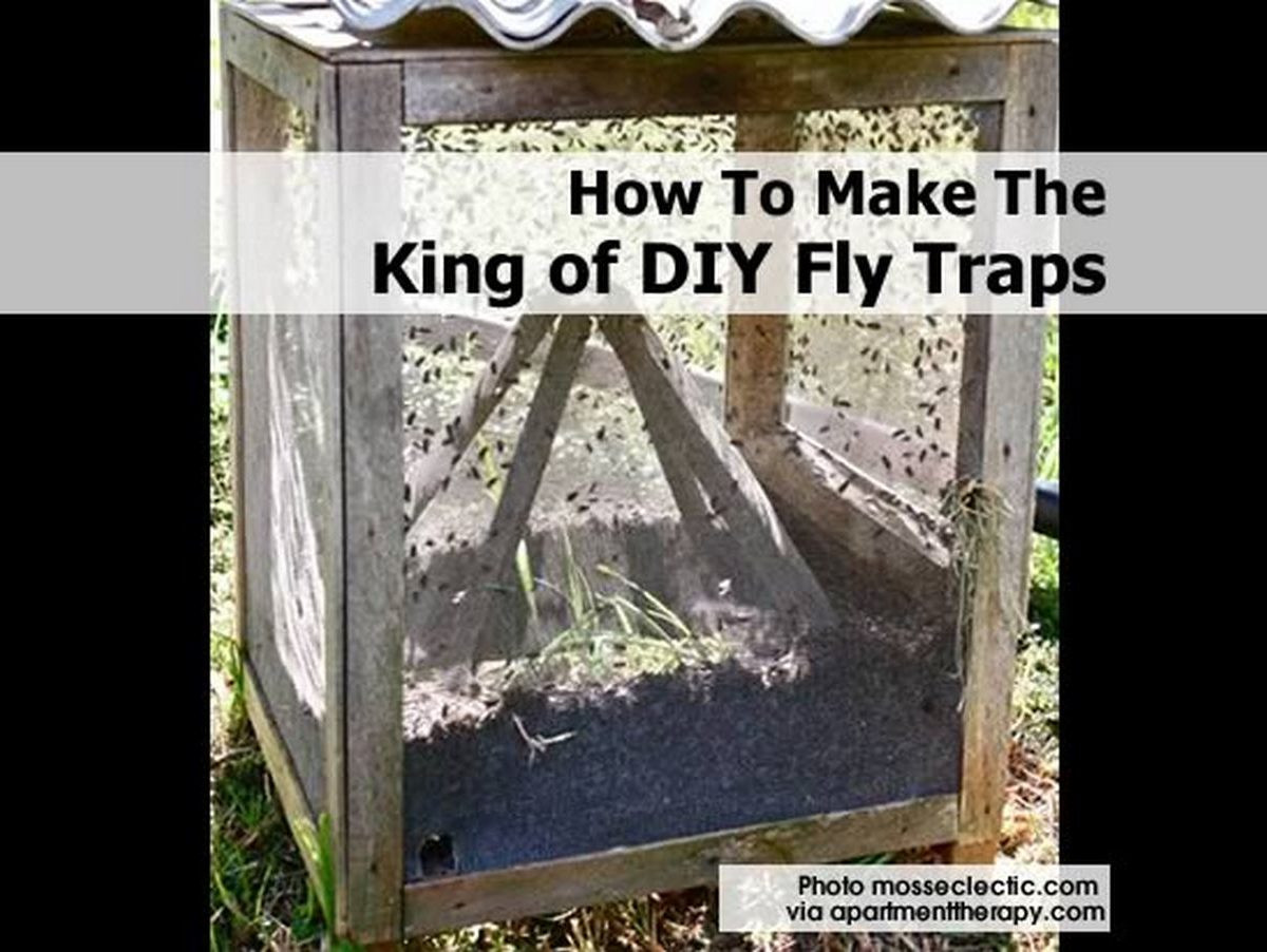 DIY Outdoor Fly Trap
 How To Make The King of DIY Fly Traps
