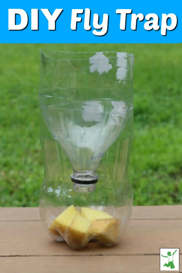DIY Outdoor Fly Trap
 Quick and Easy Homemade Fly Trap really works Healthy
