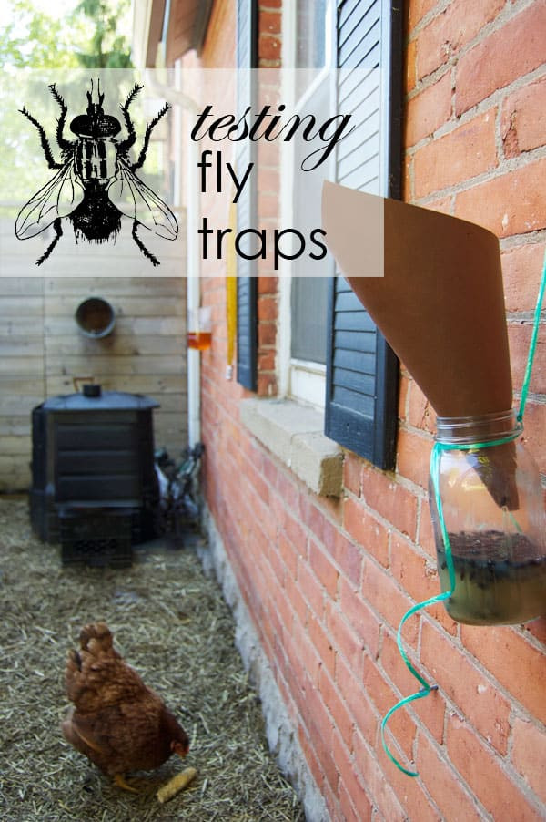 DIY Outdoor Fly Trap
 The Best Homemade Flytrap And it probably isn t the one
