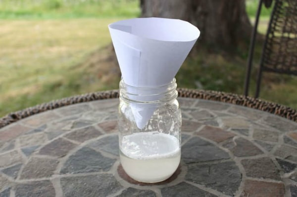 DIY Outdoor Fly Trap
 15 Best Fly Traps for Indoor and Outdoor Use in 2020