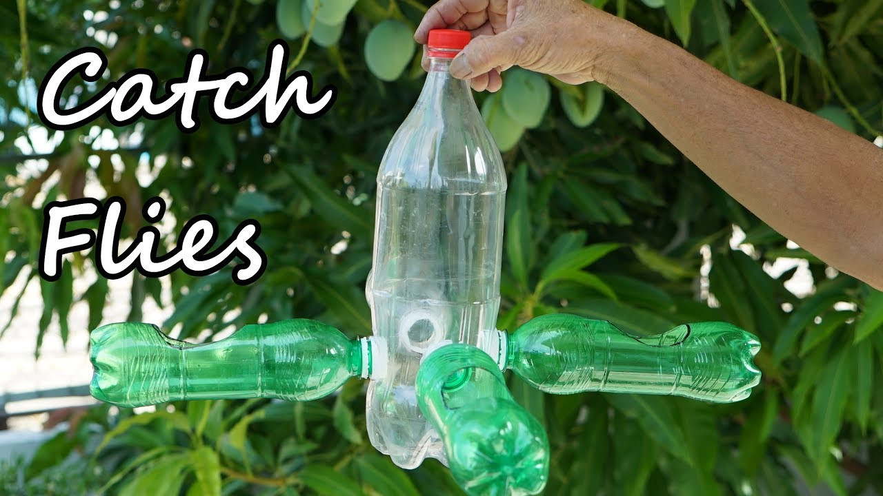 DIY Outdoor Fly Trap
 Make a DIY Fly Trap with Plastic Bottle