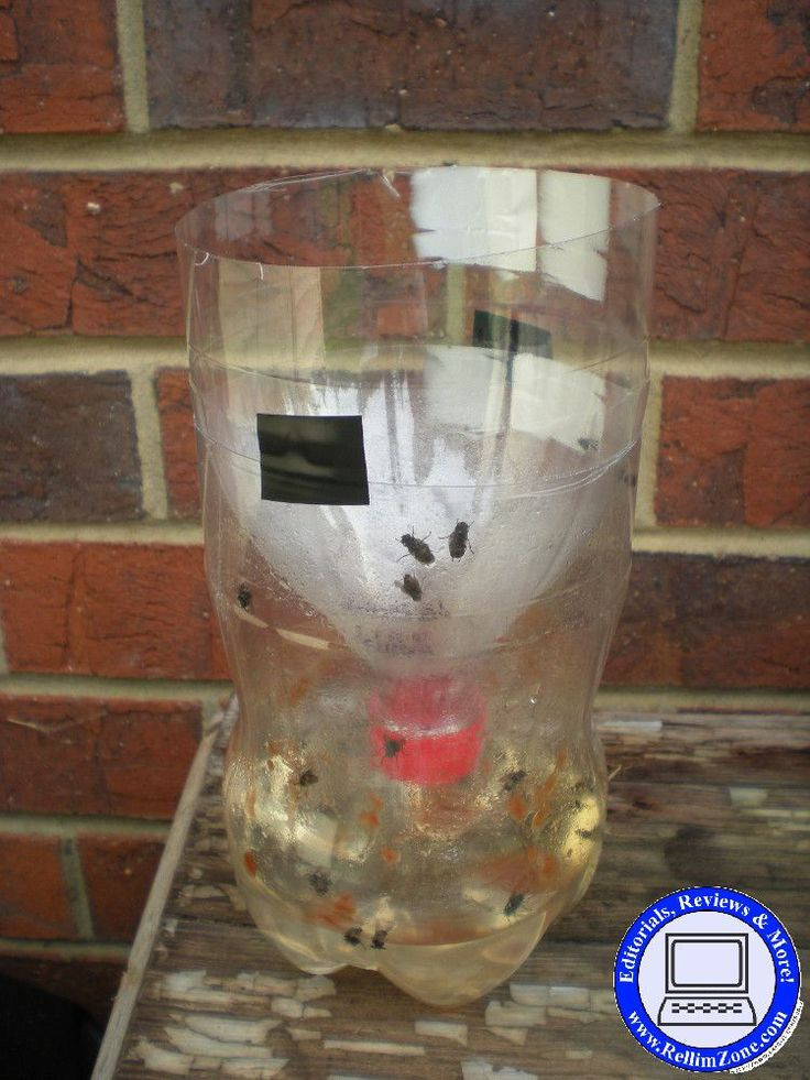 DIY Outdoor Fly Trap
 21 best DiY fly trap images on Pinterest