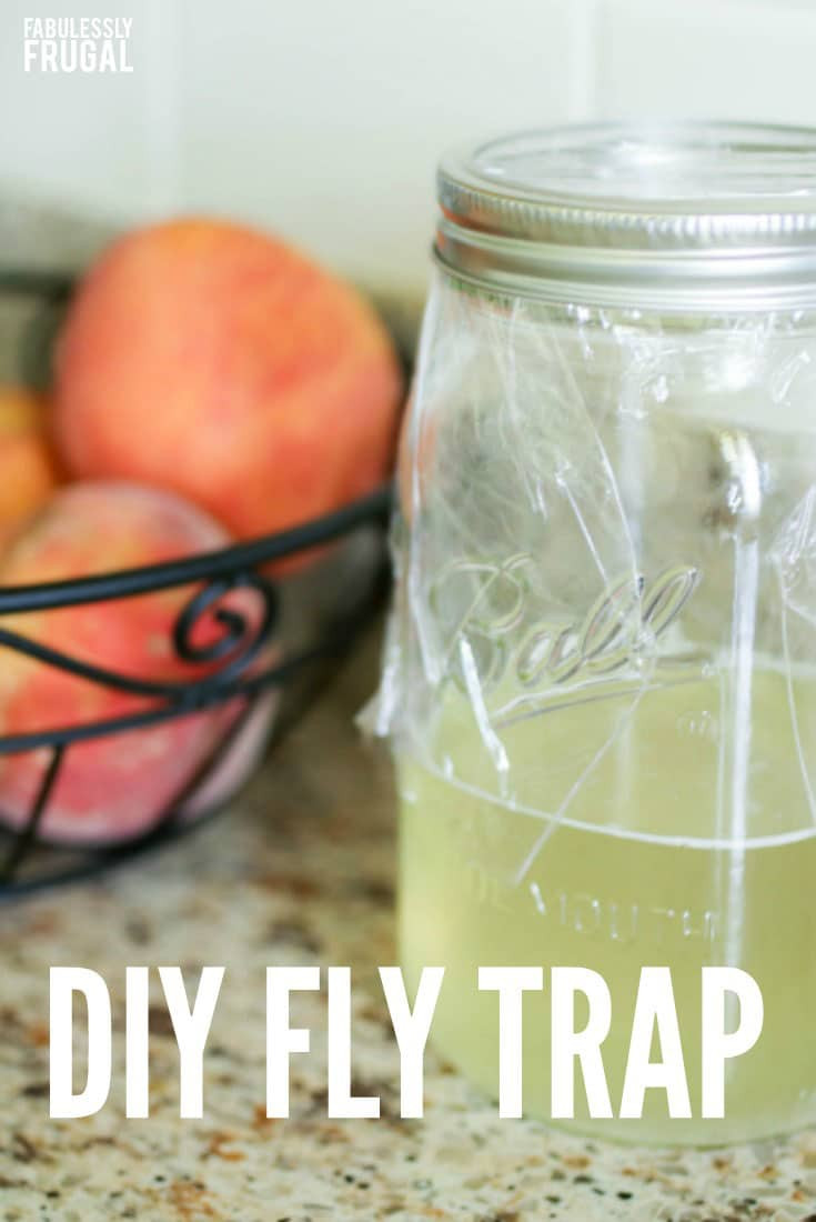 DIY Outdoor Fly Trap
 Say Goodbye to Flies with This DIY Fly Trap Fabulessly