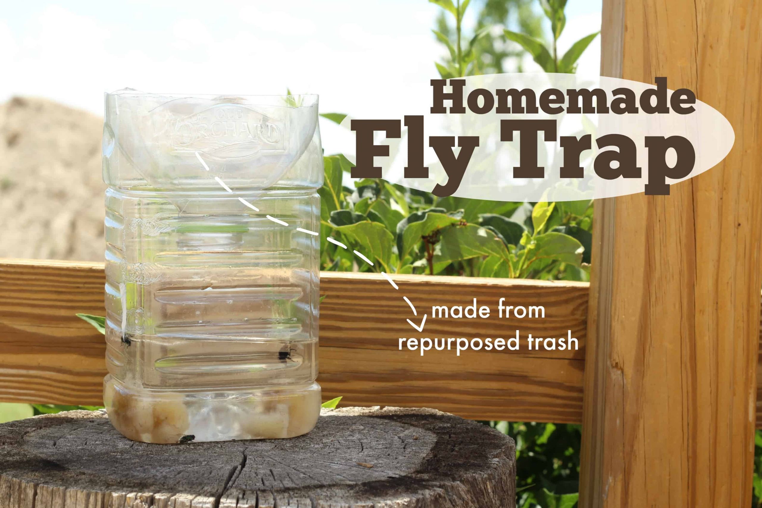 DIY Outdoor Fly Trap
 Homemade Fly Trap