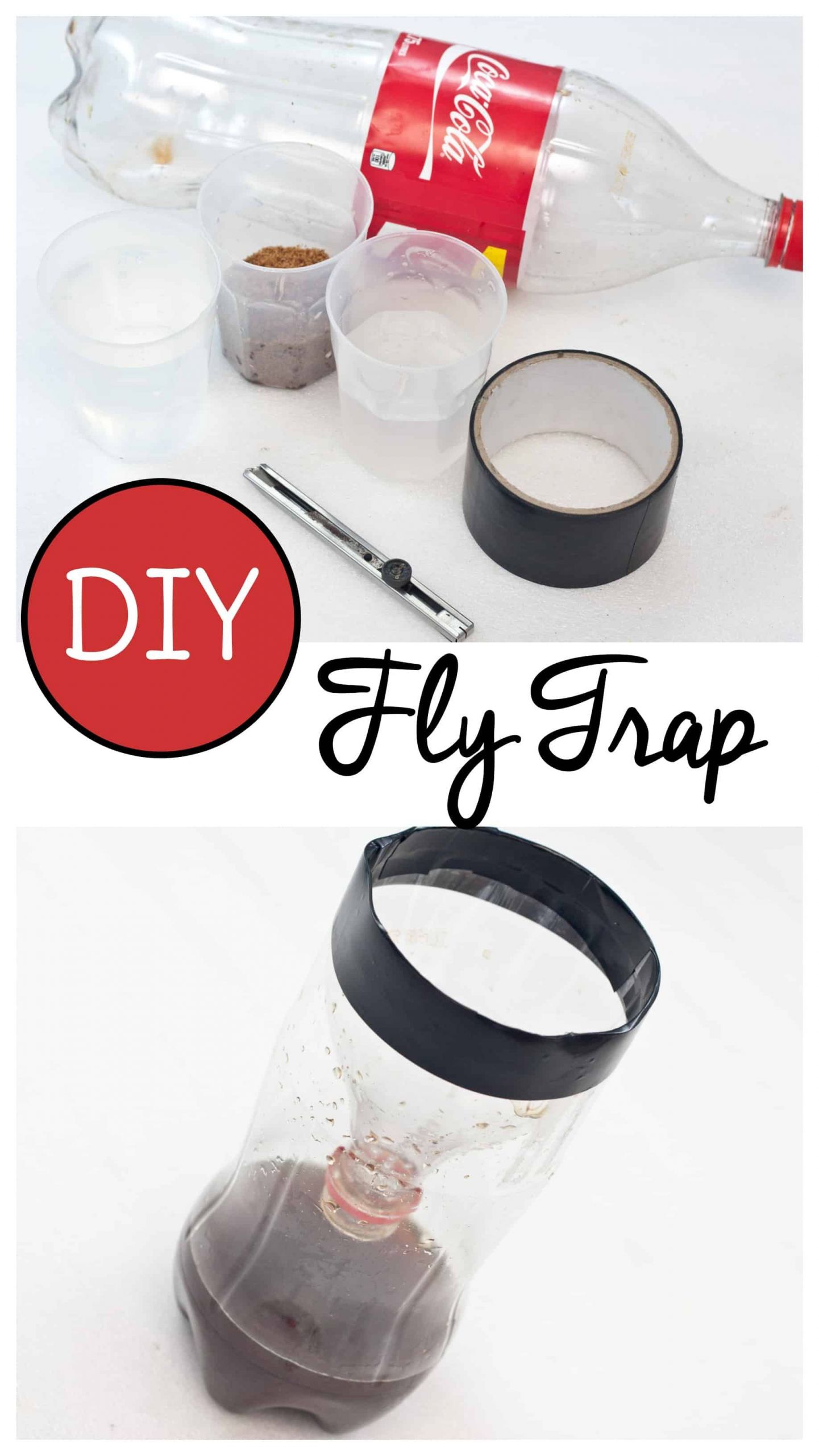 DIY Outdoor Fly Trap
 Make a homemade fly trap for indoor use with just a few