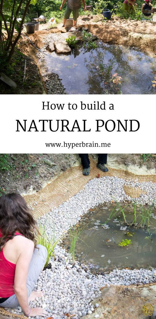 DIY Outdoor Pond
 21 DIY Water Pond Ideas