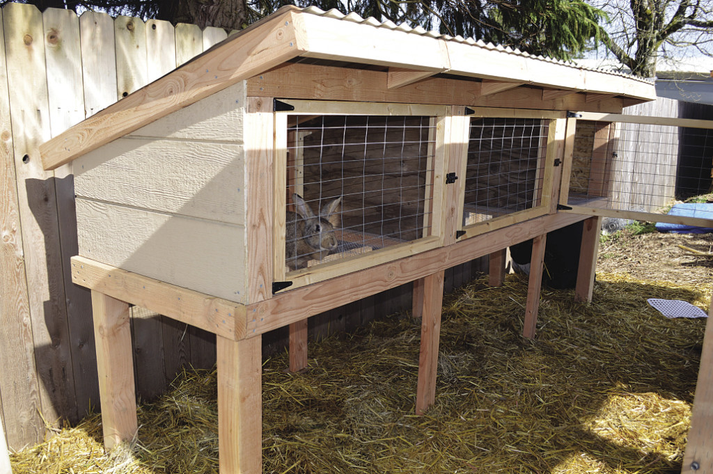 DIY Outdoor Rabbit Hutch
 Build a rabbit hutch and tractor