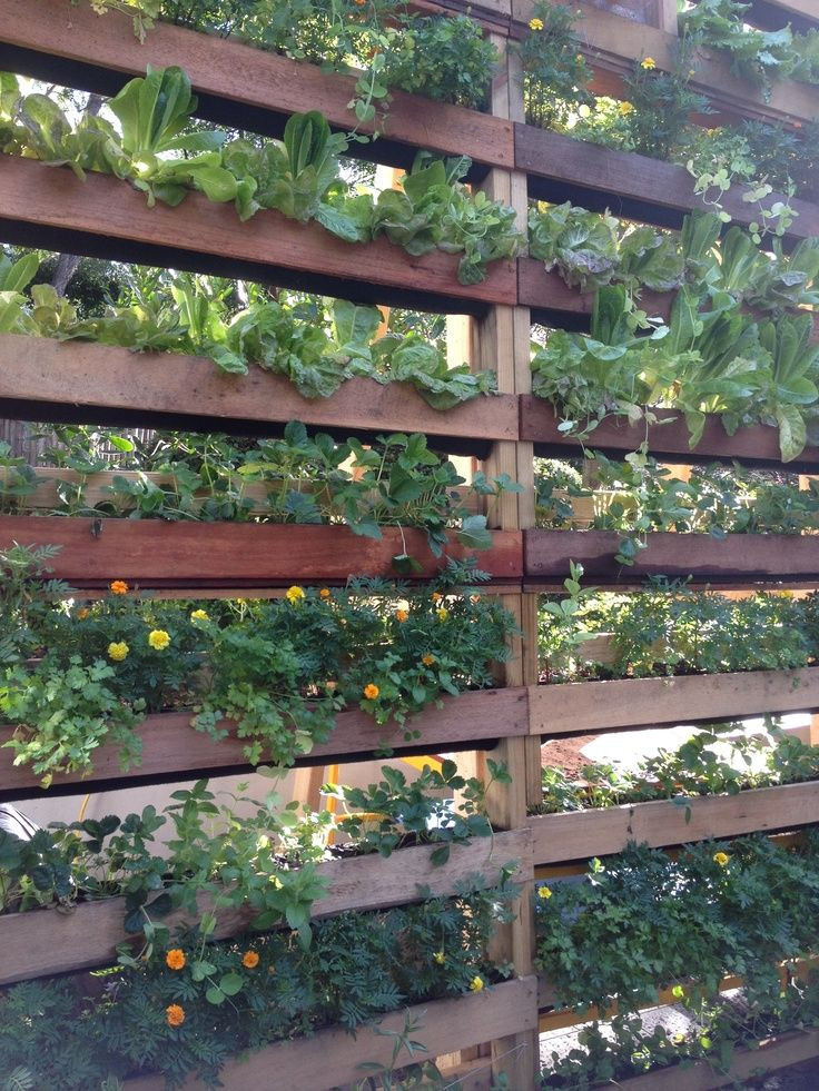 DIY Outdoor Screen
 Flowers Gardens DIY Patio Privacy Screens