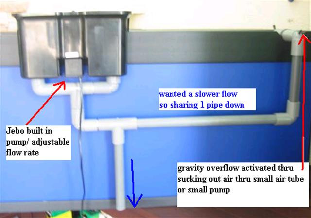 DIY Overflow Box
 want to know how to DIY overflow box or pipe DIY Forum