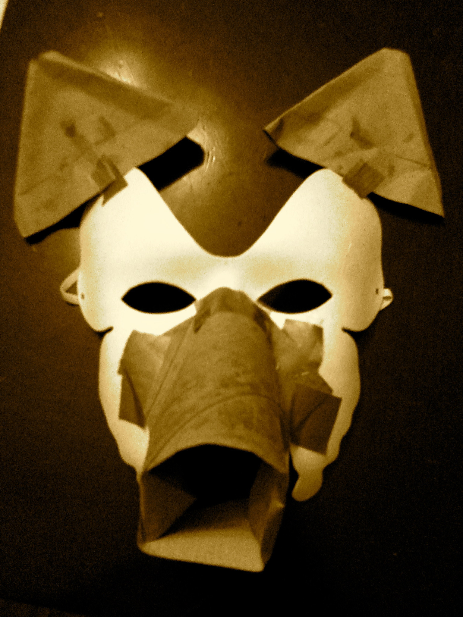 DIY Paper Mache Masks
 DIY Papier mâché wolf mask